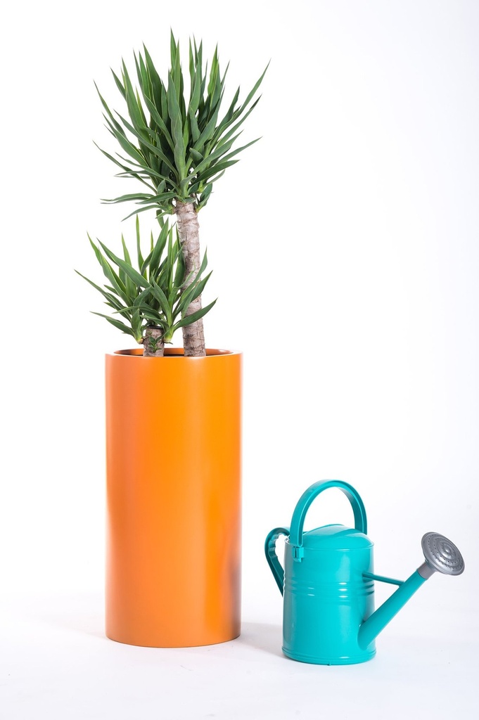 WooCommerce Gallery 15 (68287592)