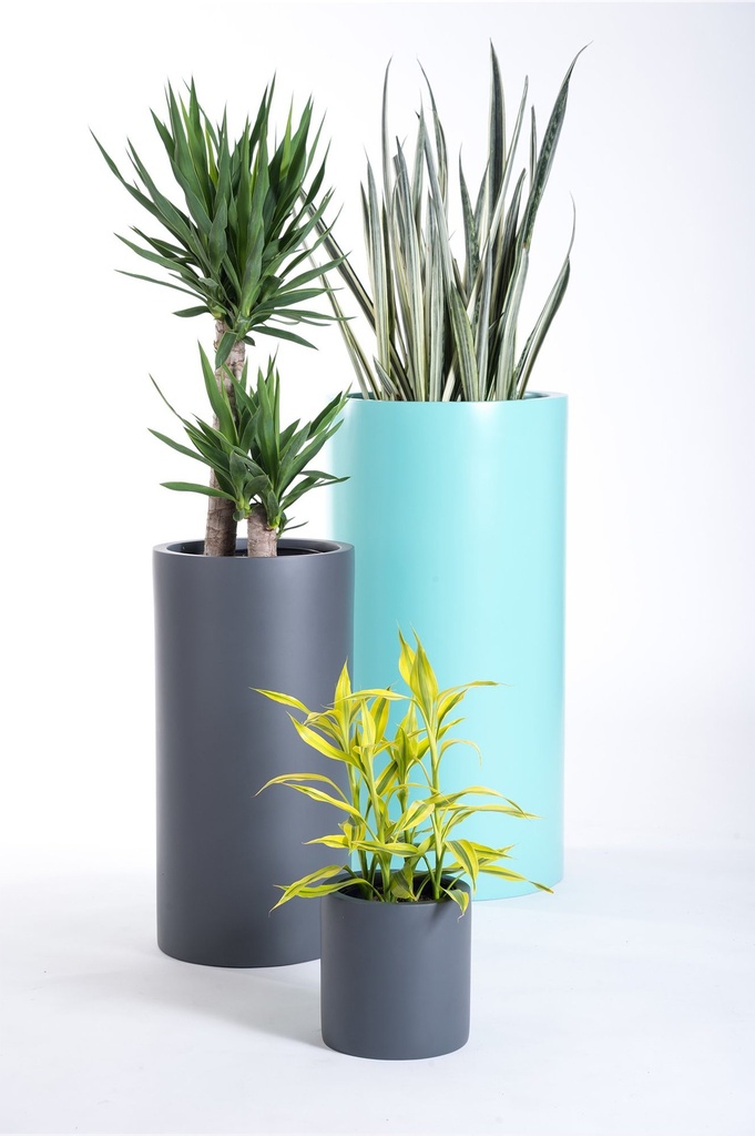 WooCommerce Gallery 16 (b49297e7)