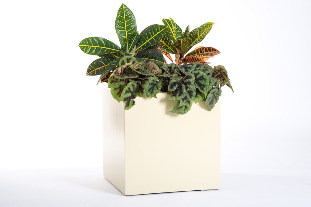 WooCommerce Gallery 2 (93b3f24c)