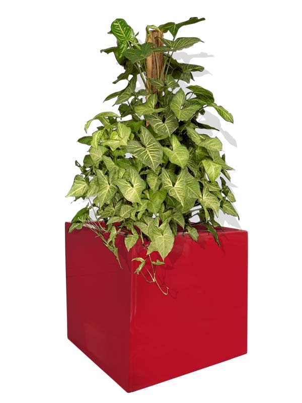 WooCommerce Gallery 3 (f5ae2ddc)