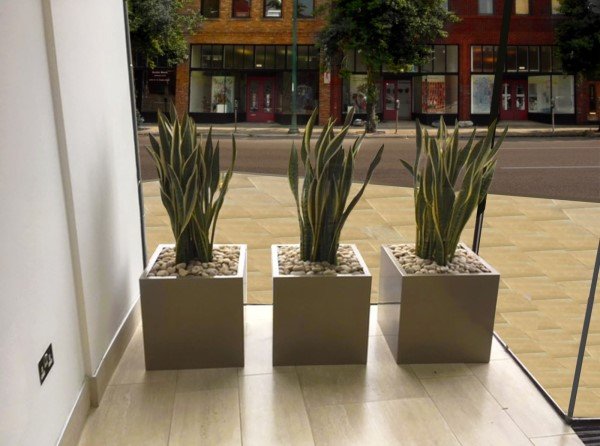 WooCommerce Gallery 6 (b98f376a)