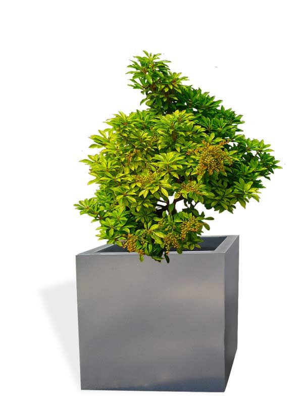 WooCommerce Gallery 10 (17d2f279)