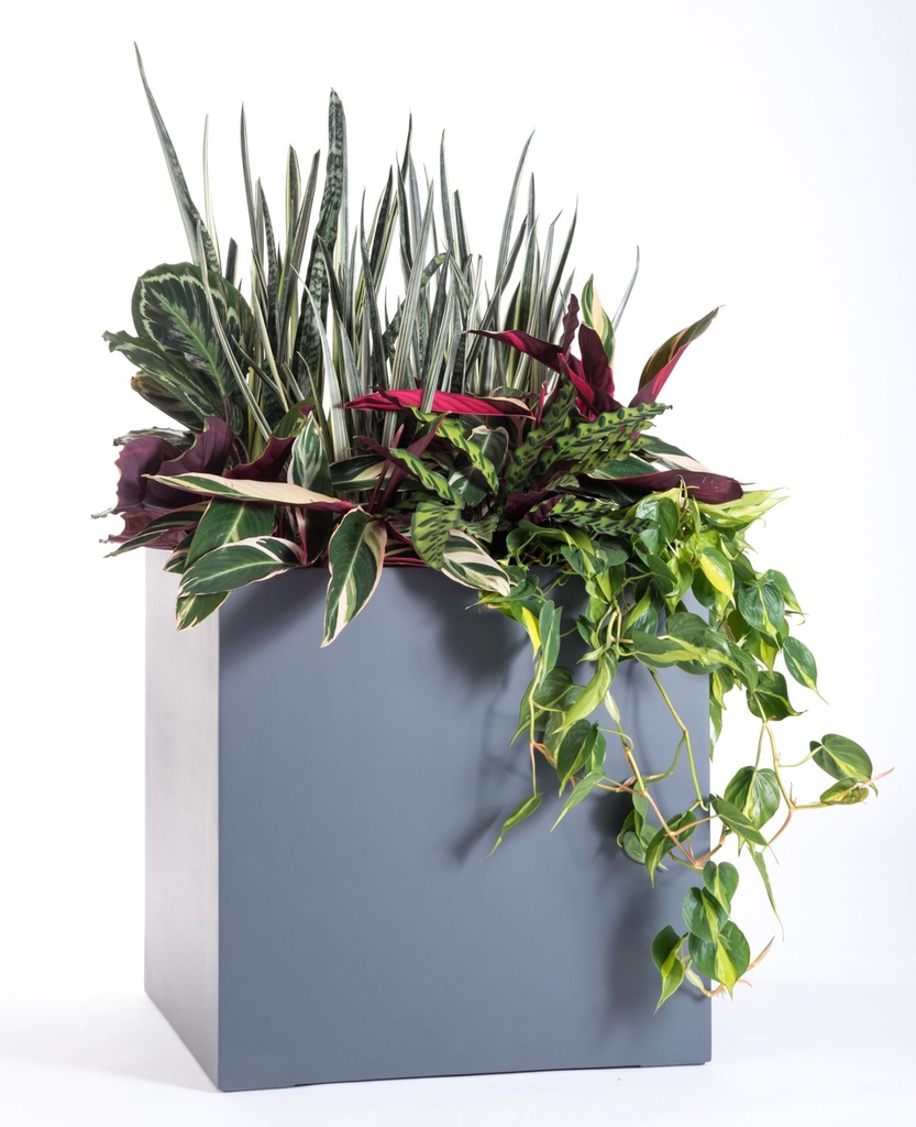 WooCommerce Gallery 11 (a6478120)