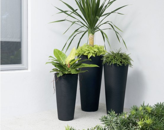 WooCommerce Gallery 5 (dec2cdbe)