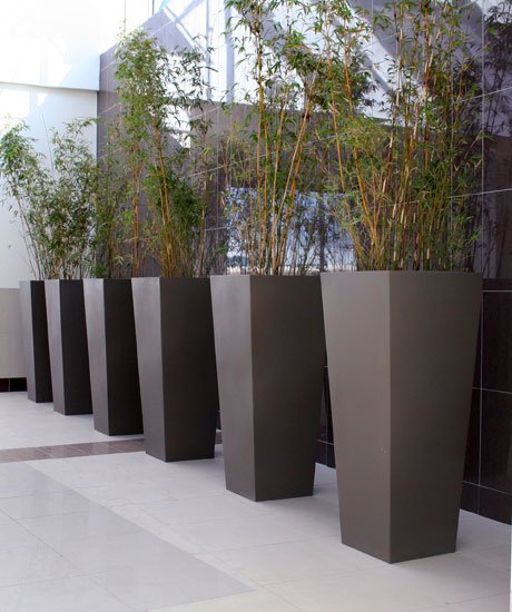 WooCommerce Gallery 4 (bba87686)