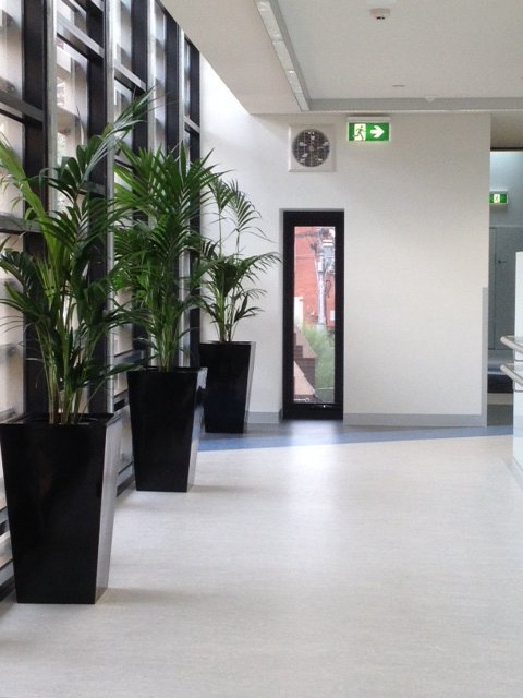 WooCommerce Gallery 6 (c6c551d0)